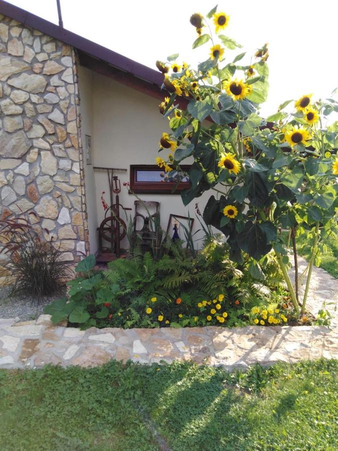 Czytelnia W Sadzie Villa Krzykawka Exterior photo